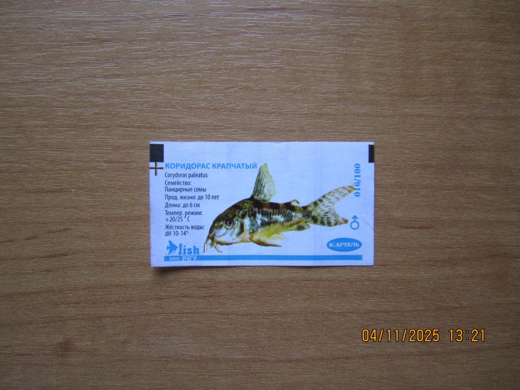 Вкладыш от жевательной резинки "Zoo Park Fish"