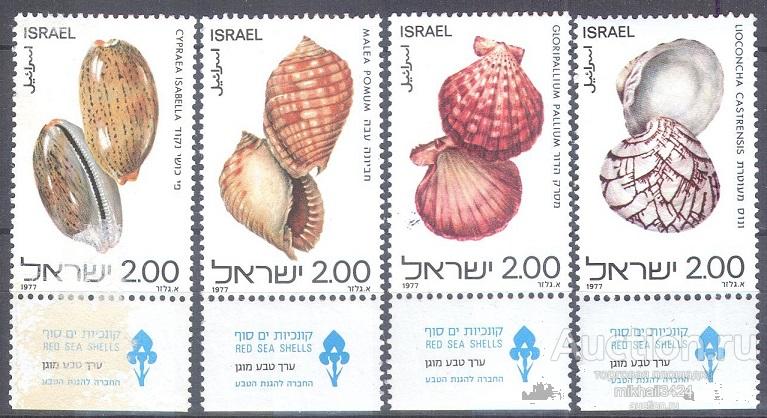 З0074 ✅ Морская Фауна Ракушки Раковины Моллюски 1977 Израиль 4м п/с ** Уценка