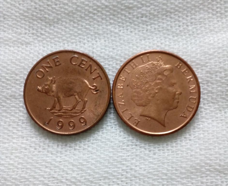 Бермуды 1 цент 1999 год