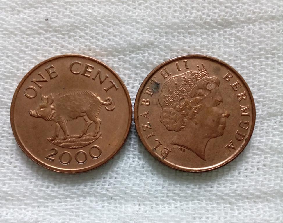 Бермуды 1 цент 2000 год