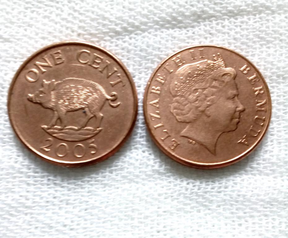 Бермуды 1 цент 2005 год
