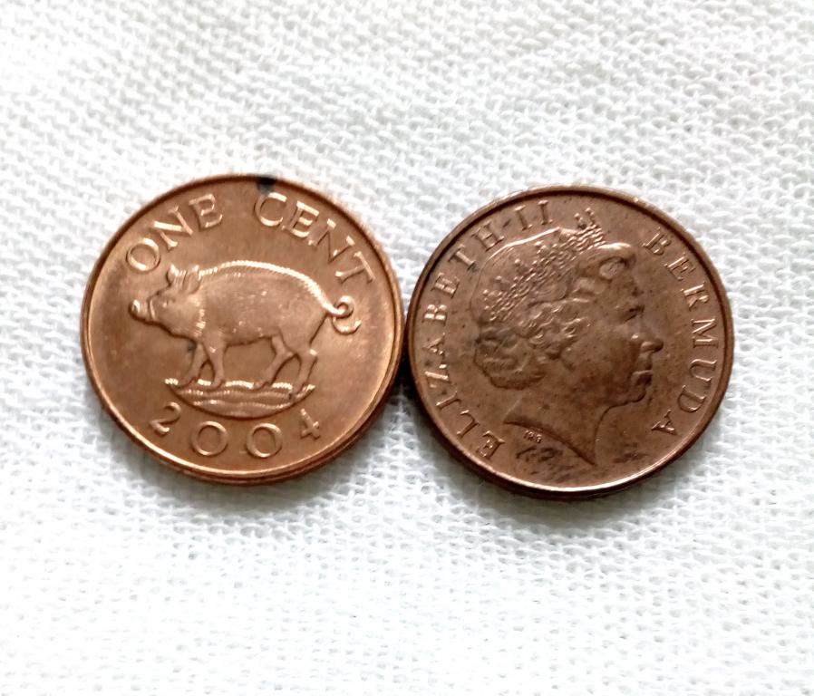 Бермуды 1 цент 2004 год