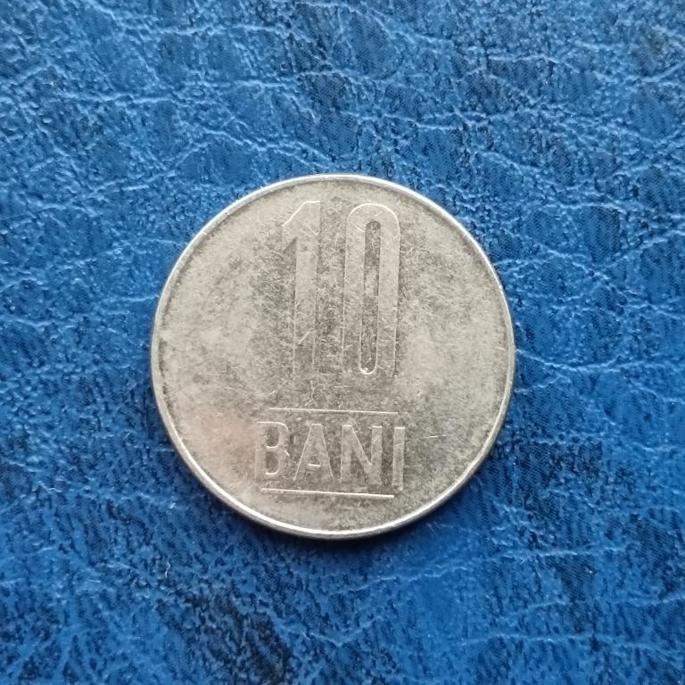 Румыния 10 бани 2006 год лот 7