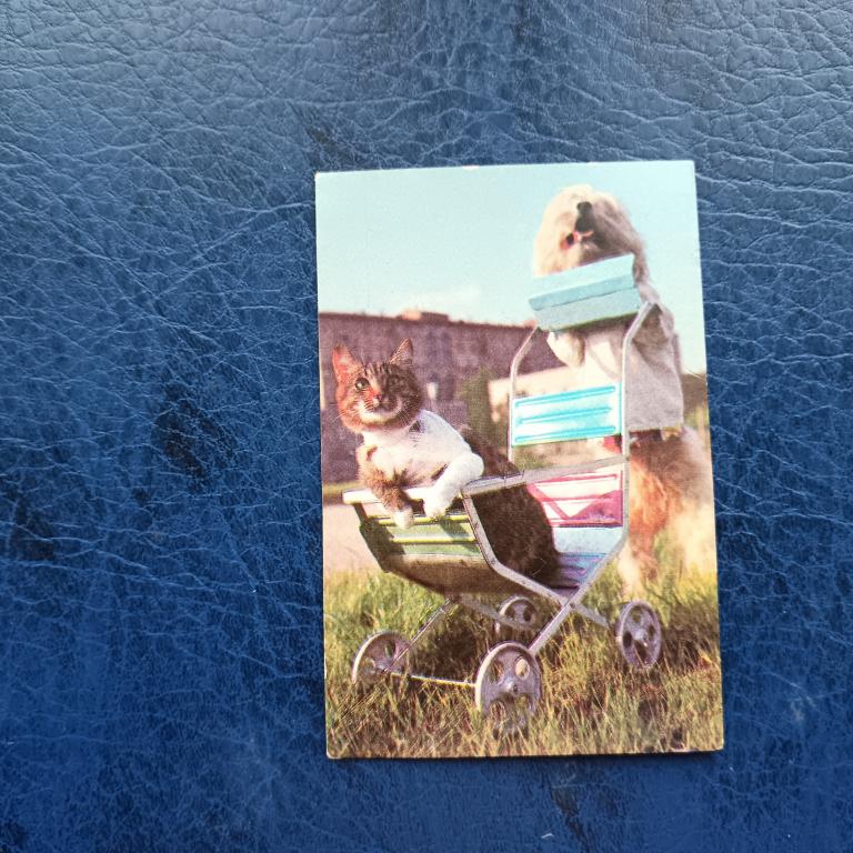 Календарь Цирк  1982 год пакет 3