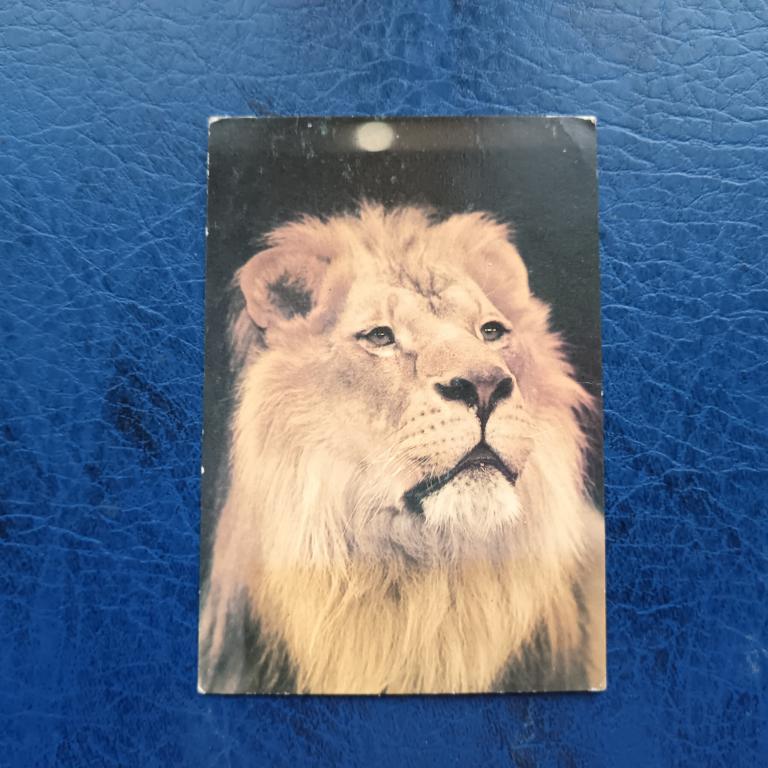 Календарь Цирк  1986 год пакет 3