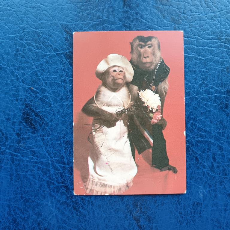 Календарь Цирк  1986 год пакет 3