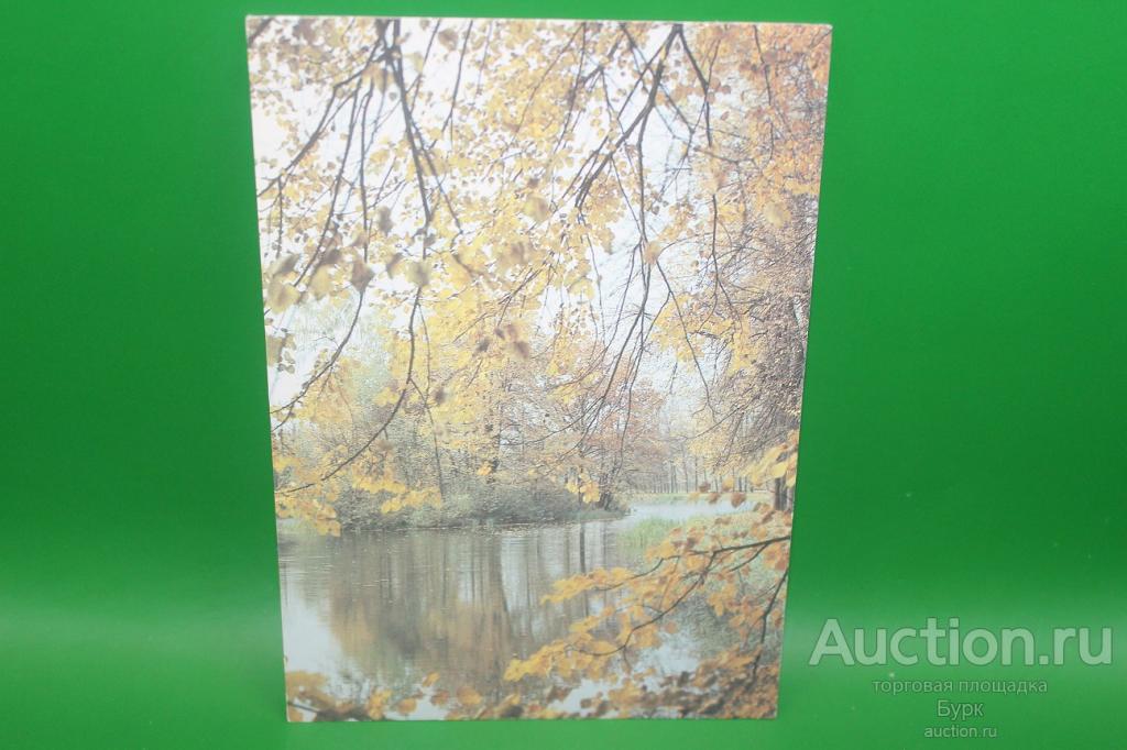 открытка Сафонова 1986 У лесного озера чистая