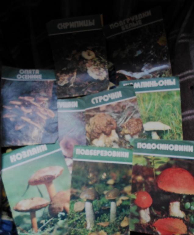 Памятки грибнику-заготовителю,КООП, СССР-одним лотом