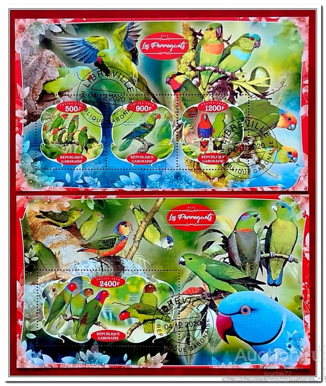 Габон 2020 год " Фауна Африки. Попугаи "