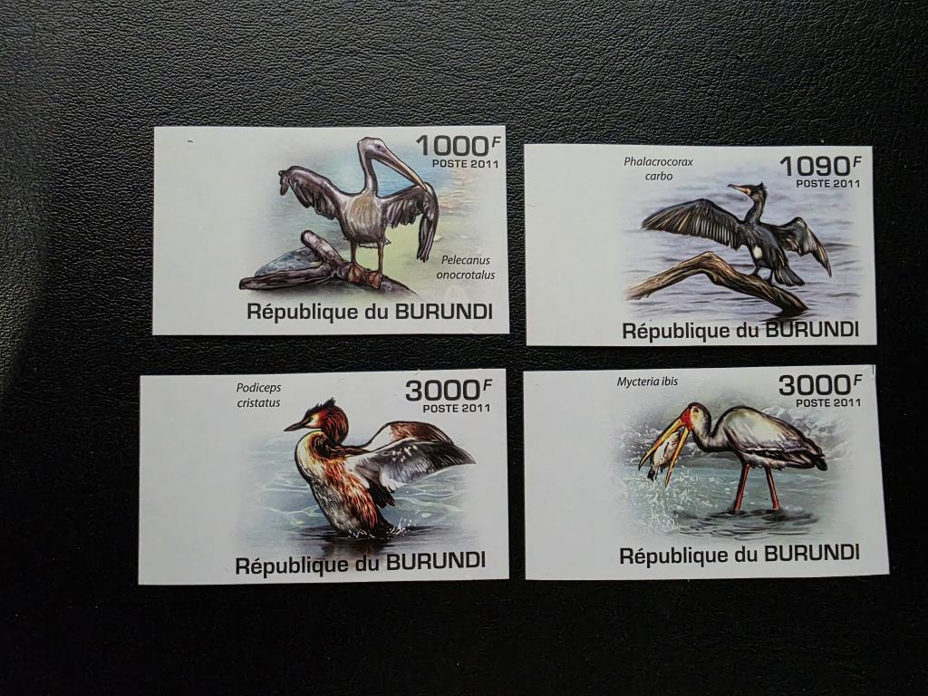 Бурунди. ПТИЦЫ, Пеликан, Африканский клювач, Баклан, Большая поганка. Серия б/з. 2011.**