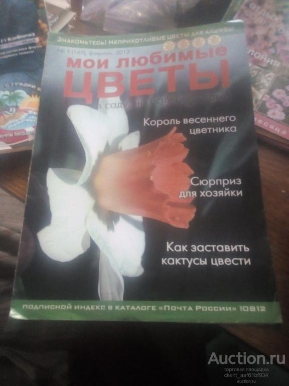 Мои любимые цветы 2012 года № 5