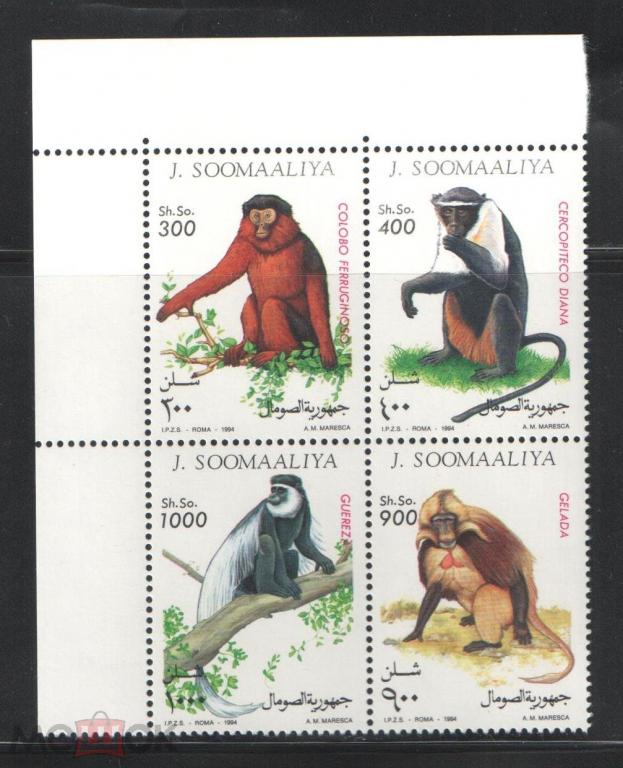 Сомали,1994,Ми-520-3**Фауна:приматы(с угловыми полями)