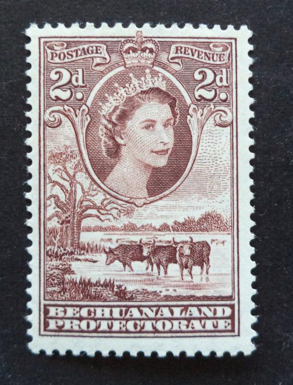 Бечуаналенд  1955 г.   Коровы . Фауна  2d.  **   Би.6