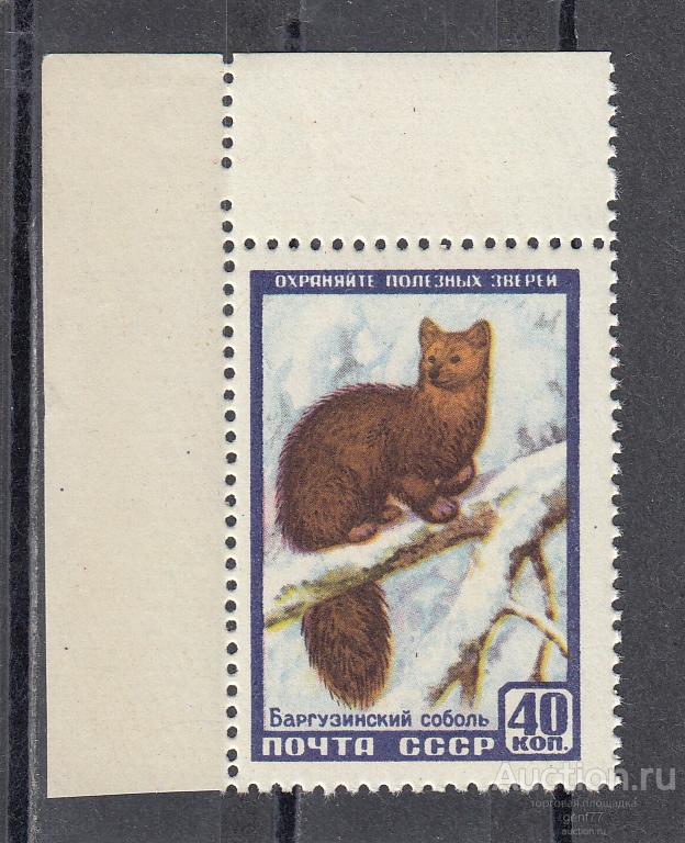 СССР 1957 Фауна Соболь  Угол Сост** MNH