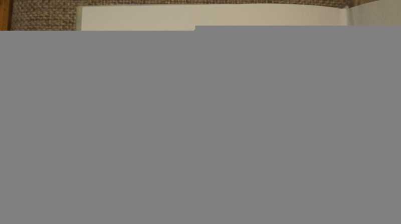 #1823881 Измозик В. С. Пешком по Миллионной