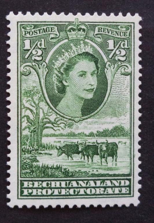Бечуаналенд  1955 г.  Коровы . Фауна   1/2d.  *   Би.6