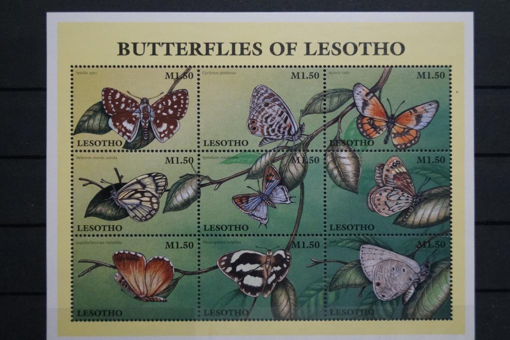 Лесото 1997г. Бабочки Лист из 9 марок