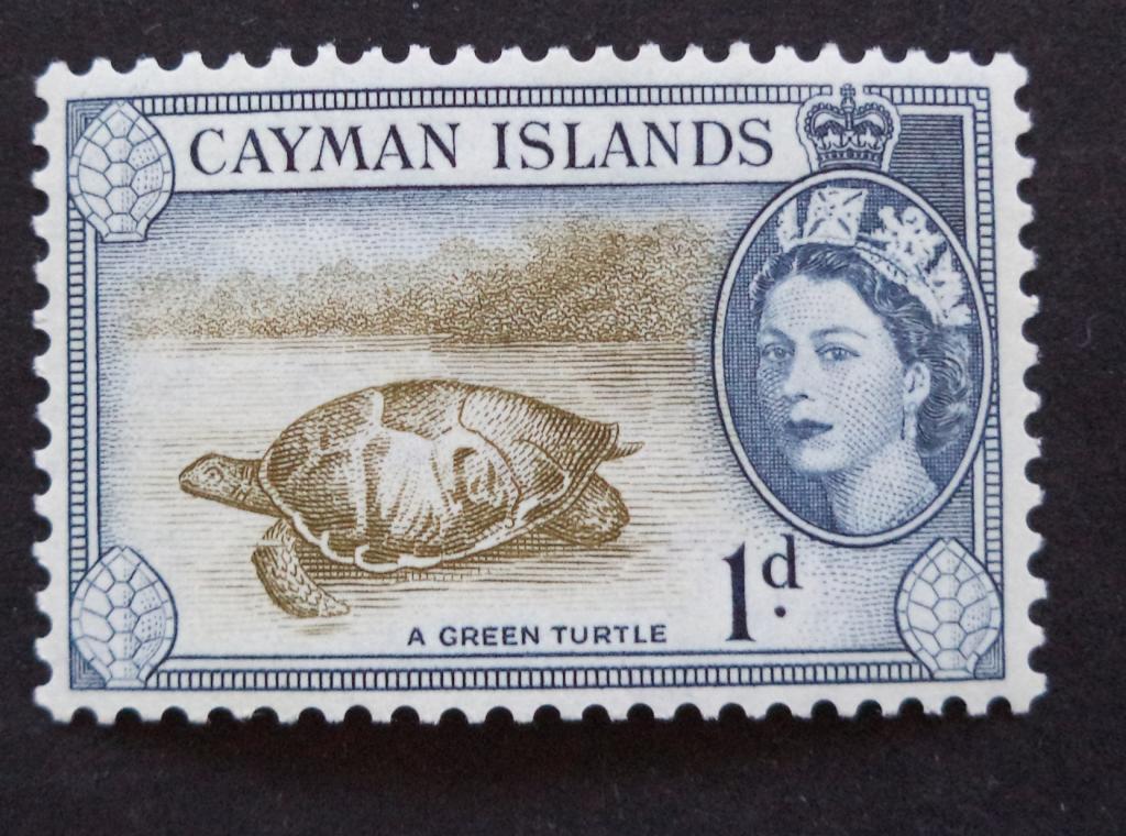 Каймановы о-ва 1953 г.   Фауна . Черепаха   1d.   *   Би.6