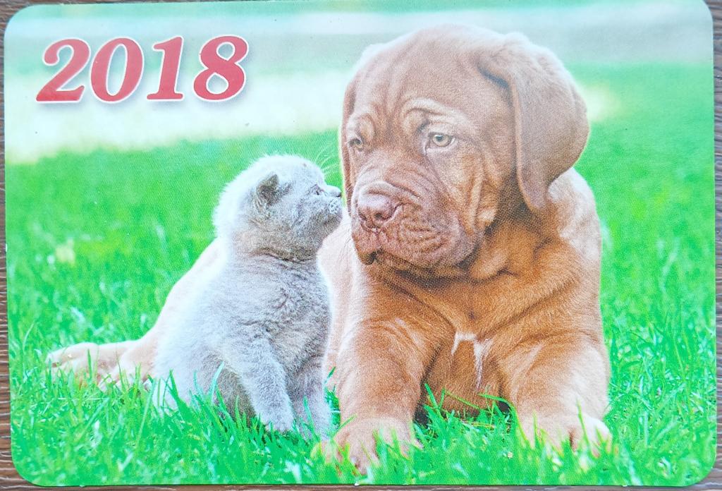 Собака Кошка Календарь 2018