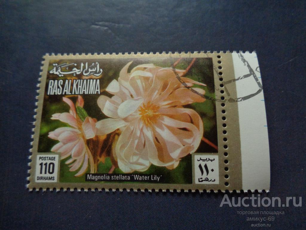 РАС-ЭЛЬ -ХАЙМА  Цветы поле справа