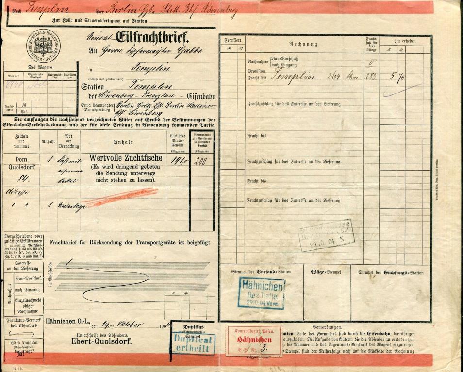 Германия 1904 Прусские ЖД (Бреслау) железнодорожная экспресс-накладная КОНТРОЛЬНЫЙ ЯРЛЫК Hähnichen