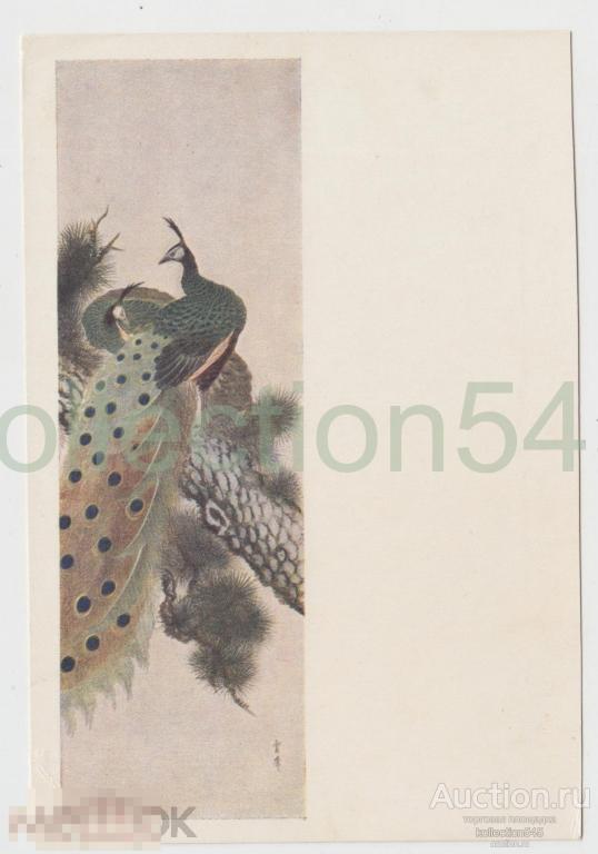 Павлин. Ун Пон. Корея.  1954г. Чистая.