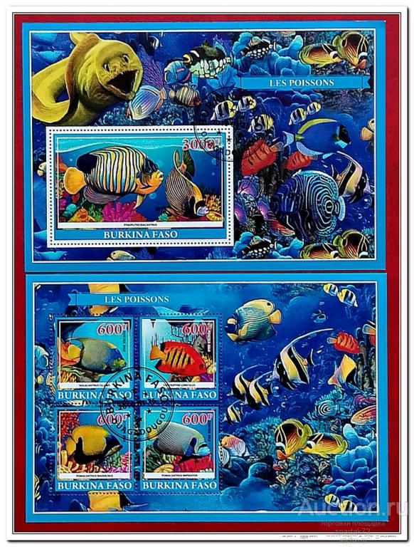 Буркина Фасо 2019 год " Фауна моря - Рыбы "