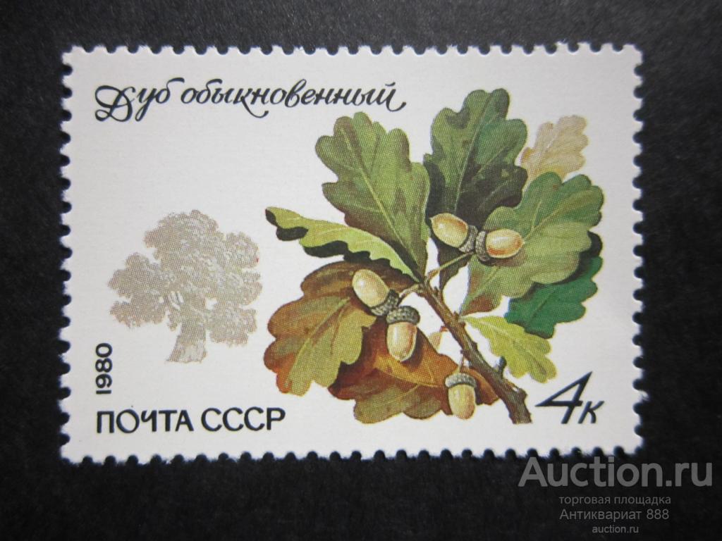 СССР 1980 Флора MNH Лот № (А-16)