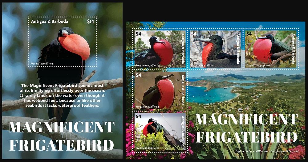 2023 Антигуа и Барбуда, фауна, птица-фрегат, блок + лист, MNH
