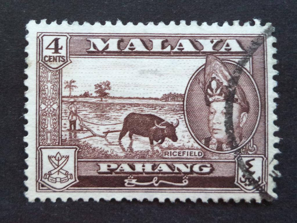 Паханг  1957 г.  Буйвол   4с.  гаш.   Би.7