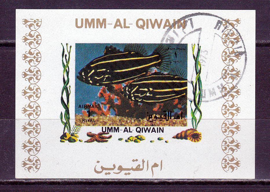 Марки Ум Эль Кайвайн ОАЭ 1973 г. Аквариумные рыбки Блок Фауна