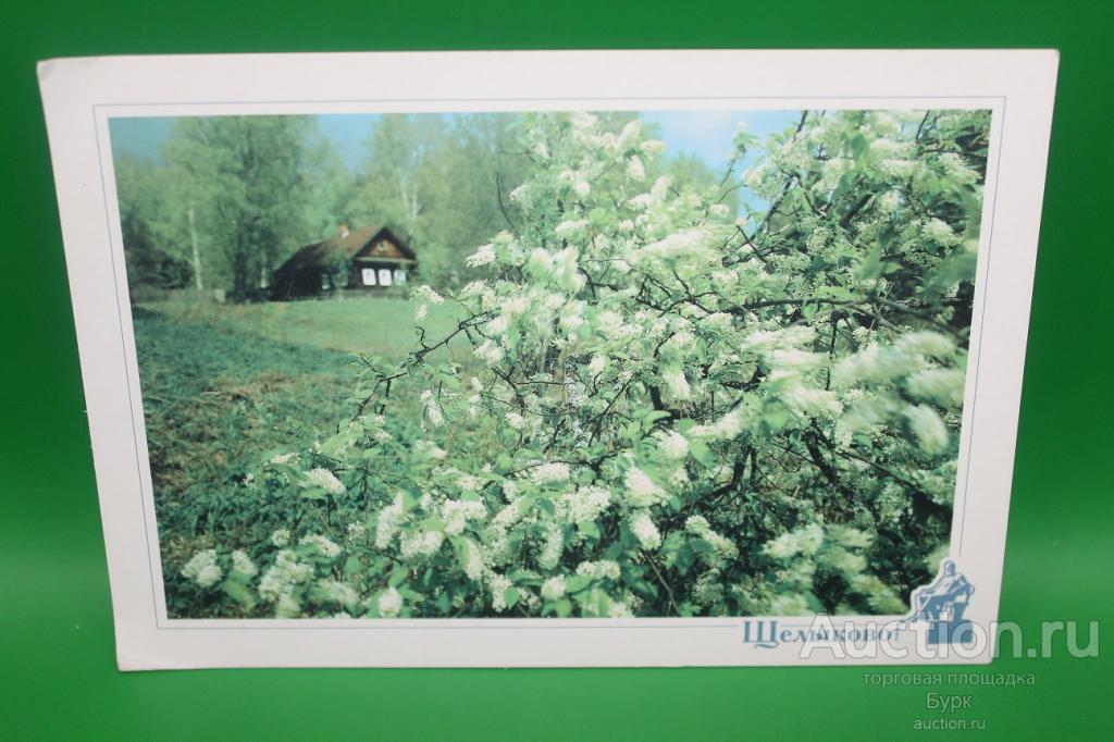 открытка Россия музей - заповедник Островского Щелыково 2000 г. фото Н.Рахманов чистая