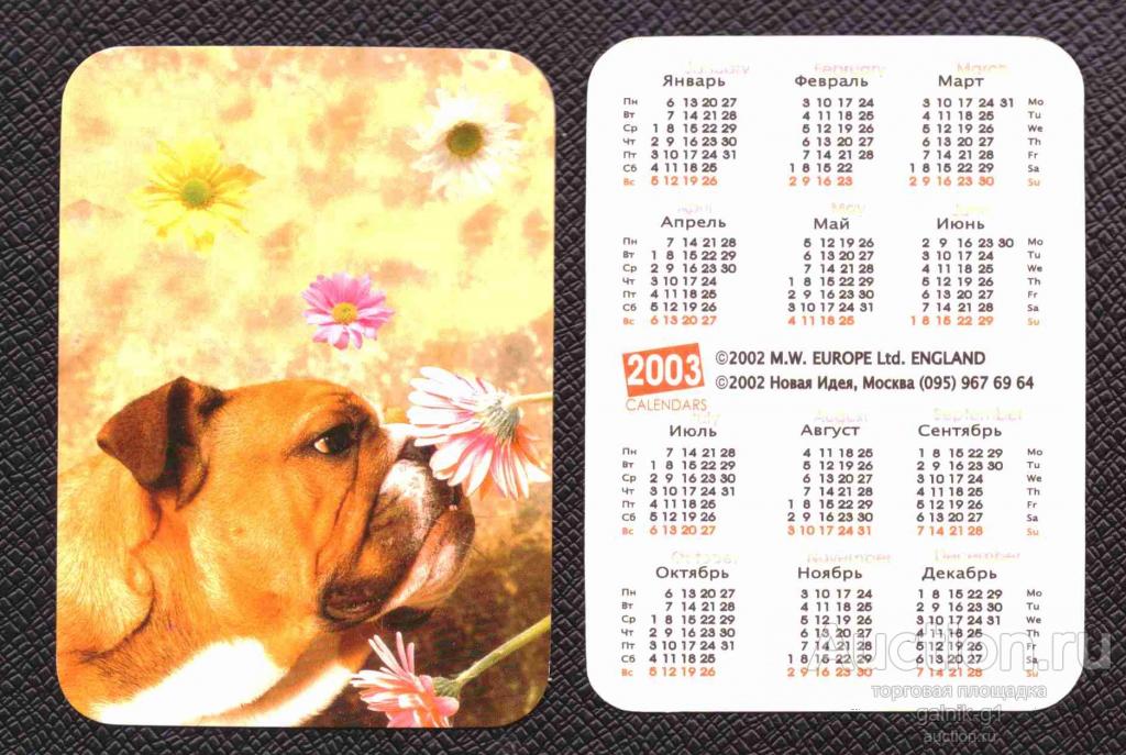 календарик  2003  год    собака    №   8090