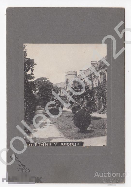 Крым Алупка Цветник у дворца. Фото Циммерман.