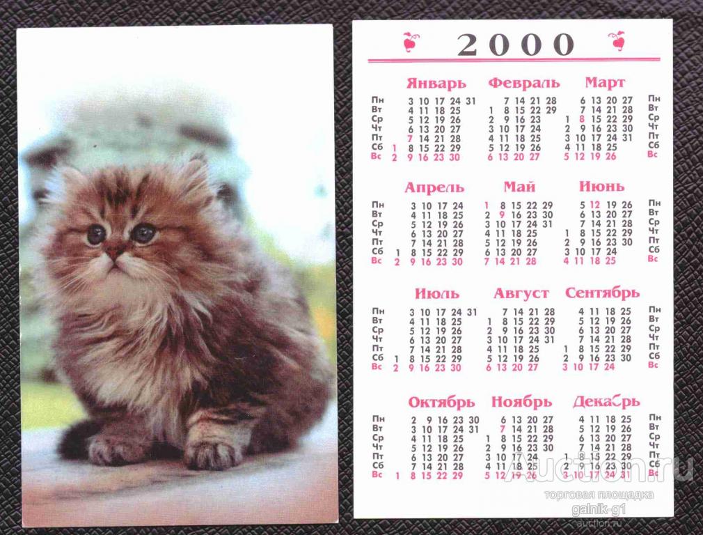 календарик  2000  год    кошка    №   8077
