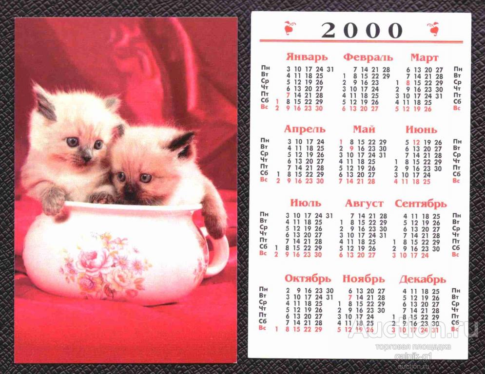 календарик  2000  год    кошка    №   8076
