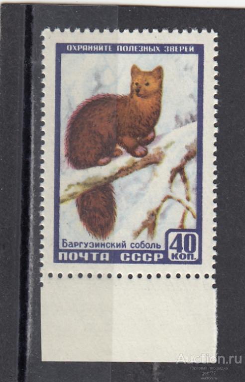 СССР 1957  Фауна Соболь  Сост** MNH