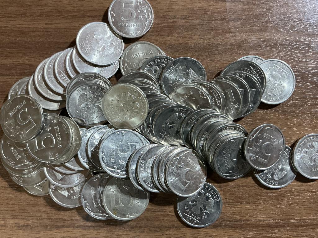 5 рублей 2010 спмд Мешковые