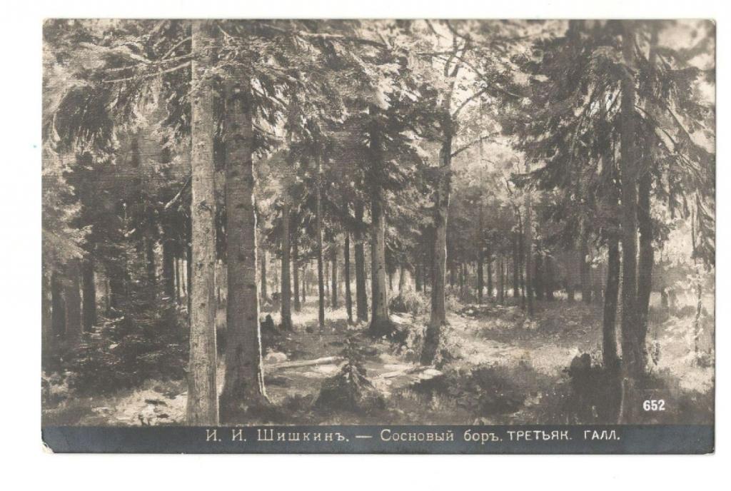 Открытка Шишкин Сосновый бор  до 1917 г. (033665)