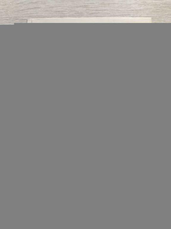 #1826662 Кайзерлинг Германн Фон Америка. Заря Нового мира