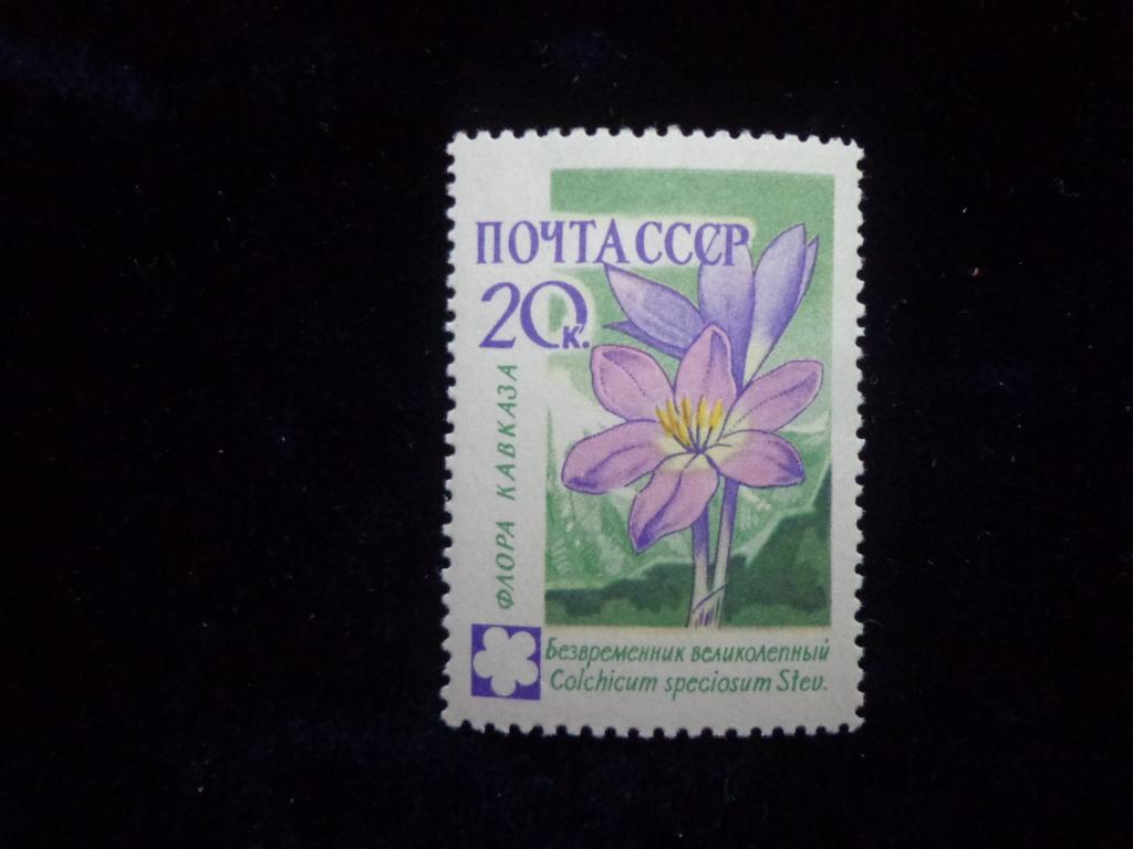 Марки СССР 20 коп. Флора СССР 1960 г. чистые * *