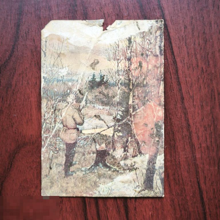 1900 -е  Открытка старинная  Охотничья  собака, ружье, охотник.  охота Картина живопись искусство