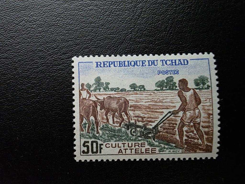 Чад. Буйвол.Традиционное землепашество. Сельское хозяйство. Экономика страны. Серия. 1972**