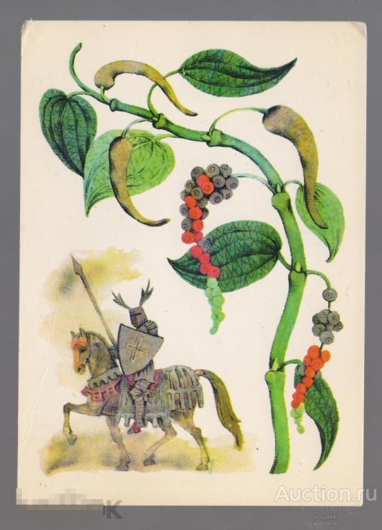 ИЗ ИСТОРИИ ПРЯНЫХ РАСТЕНИЙ Перец душистый 1983 Барботченко