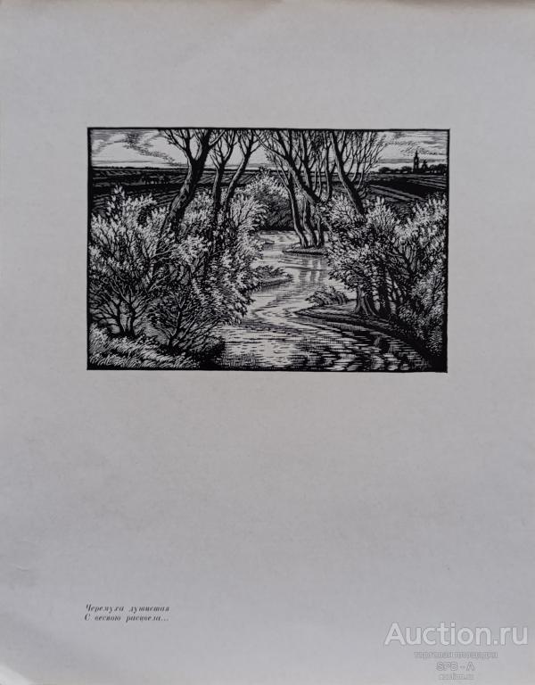 "Черёмуха душистая. с весною расцвела" ксилография Константинов Ф.Д. 1971 год
