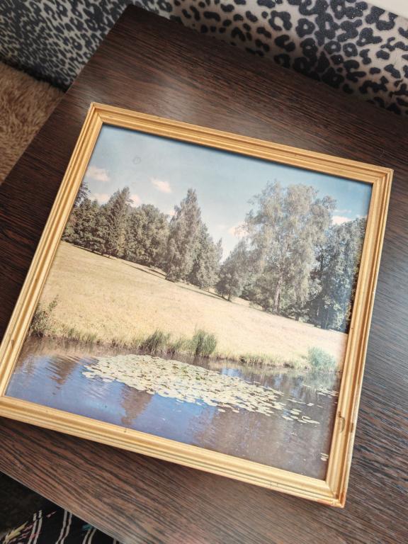 Фоторепродукция СССР пейзаж Тихая заводь 1991 год