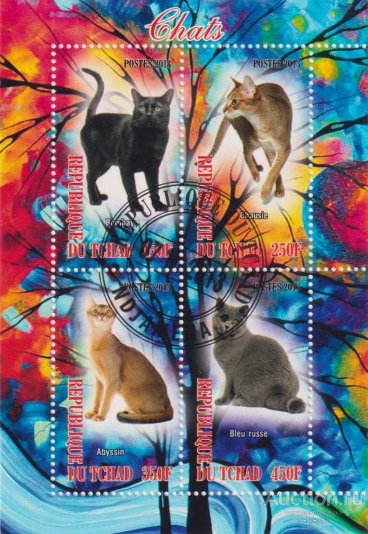 td2013-3 Чад 2013г. Кошки Домашние кошки U