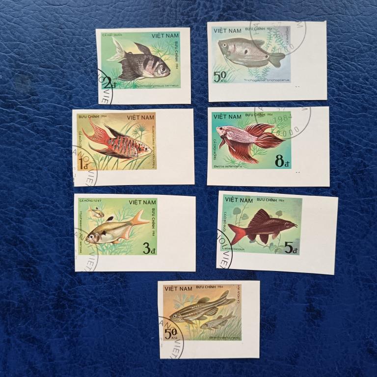 Марки Вьетнам. Тропические рыбы  1984 год гаш  альбом 7 лист 7