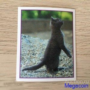 Наклейка для альбома Приключения котят, Precious Kitties, номер 118 1999 (mb-1146)