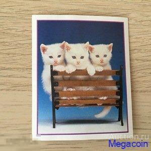 Наклейка для альбома Приключения котят, Precious Kitties, номер 119 1999 (mb-1145)